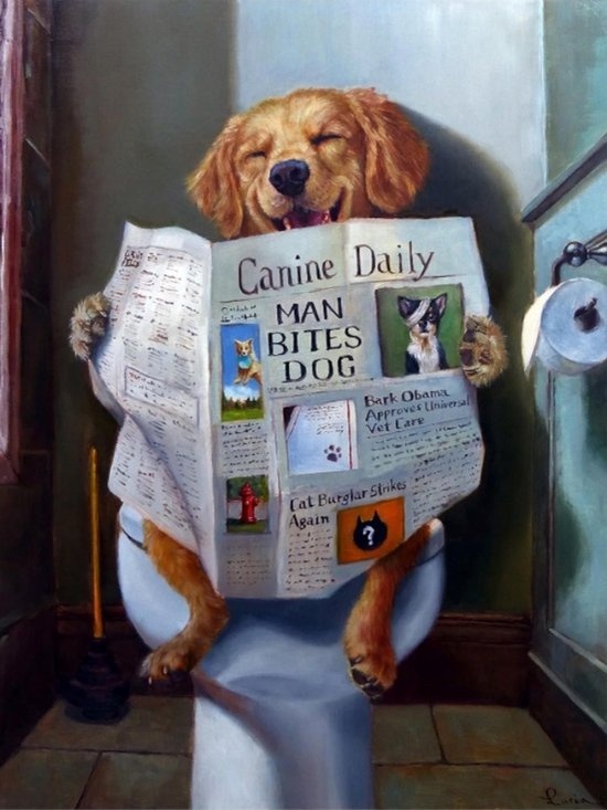 Rubye® Peinture au diamant adultes - Peinture au diamant enfants - Peinture au diamant paquet complet - Chien aux toilettes - 30x40cm