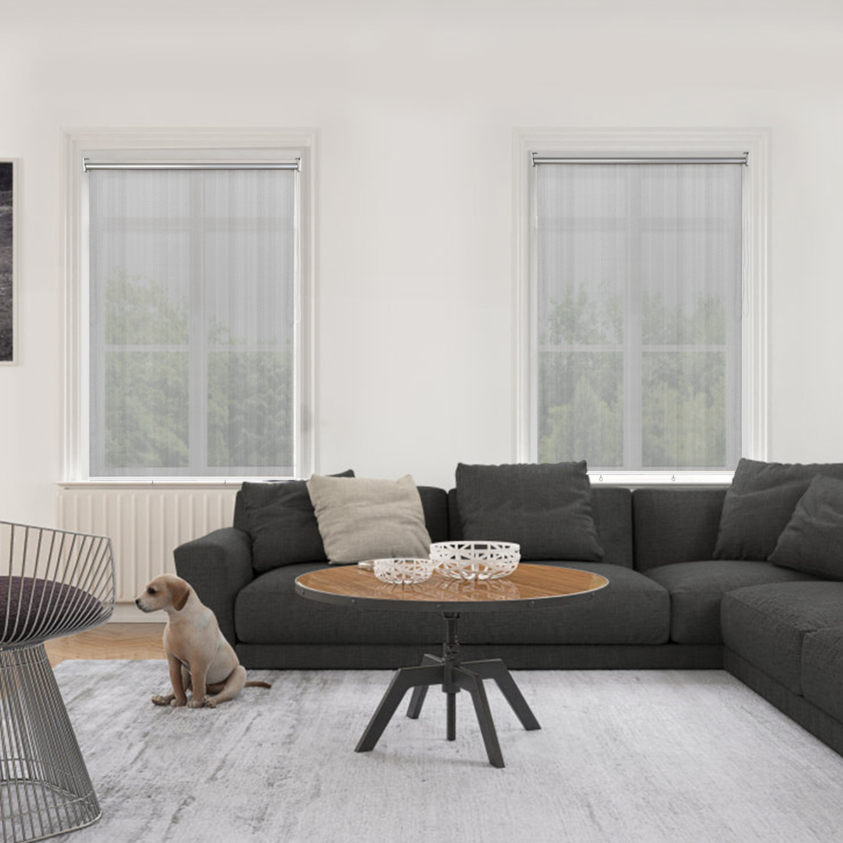 Store d'extérieur Coast avec protection UV Walgelijke Rollo Outdoor Roll-Jalousie Sun Protection Roller blind 121x181 cm Grey