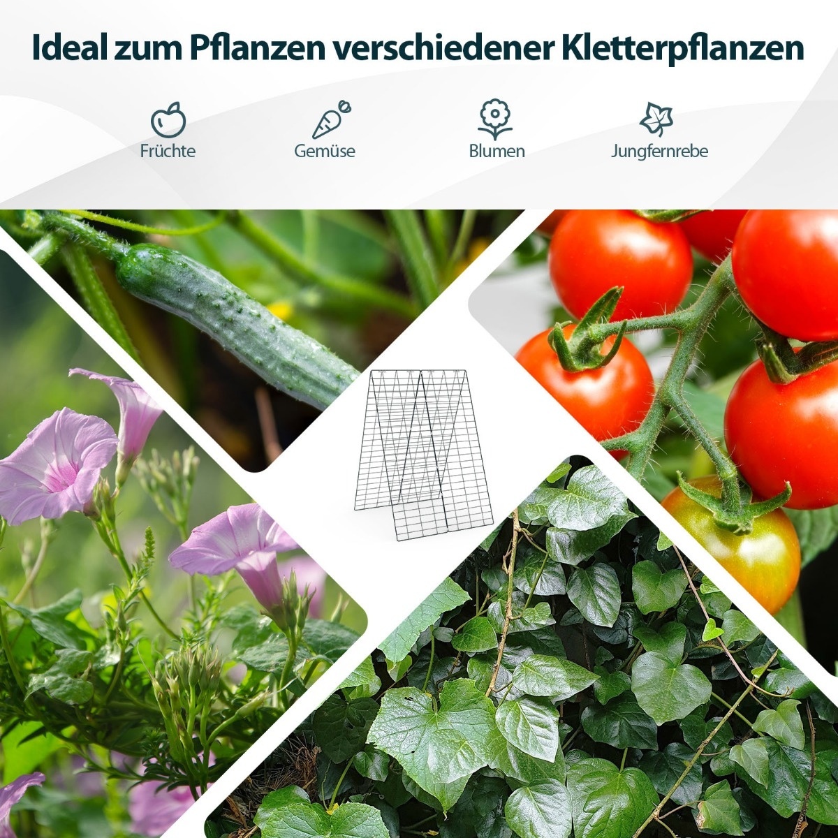 Coast 2-piece green treillis de jardin support pour plantes grimpantes 128 x 86 cm