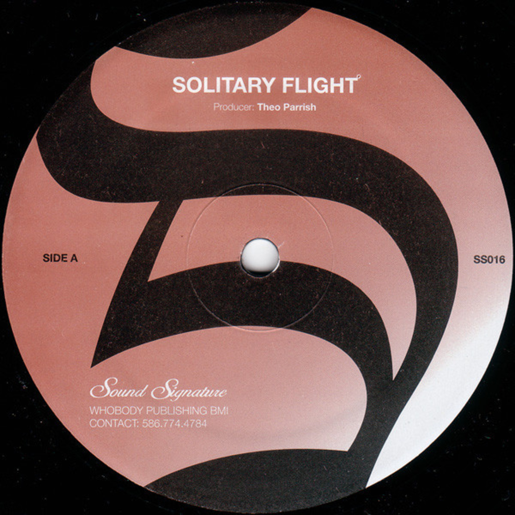 Theo Parrish - Solitary Flight