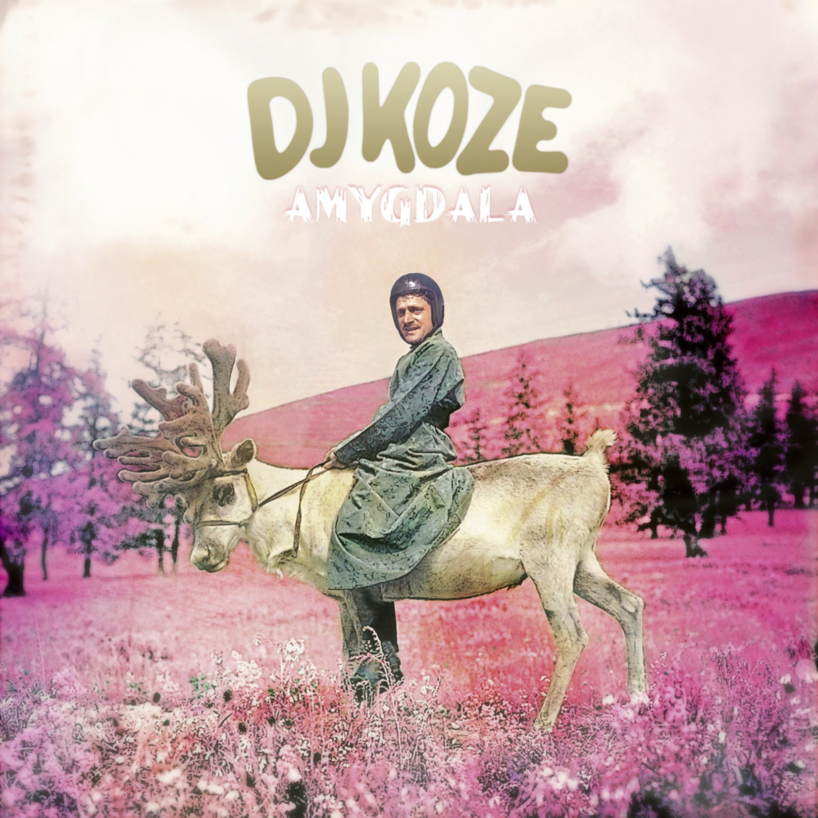 DJ Koze – Amygdala