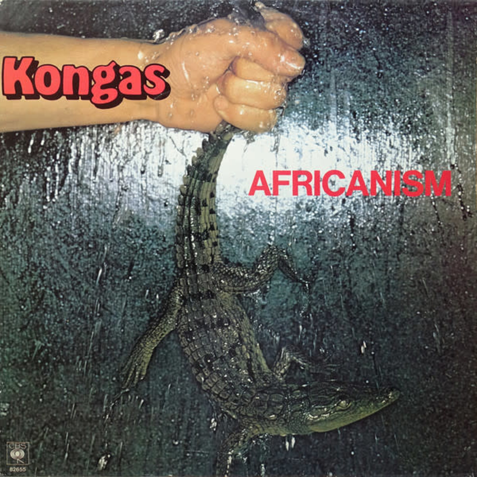 Kongas - Africanism