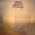 Dries Laheye - Deining