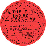 The Fly Insect – Decay EP