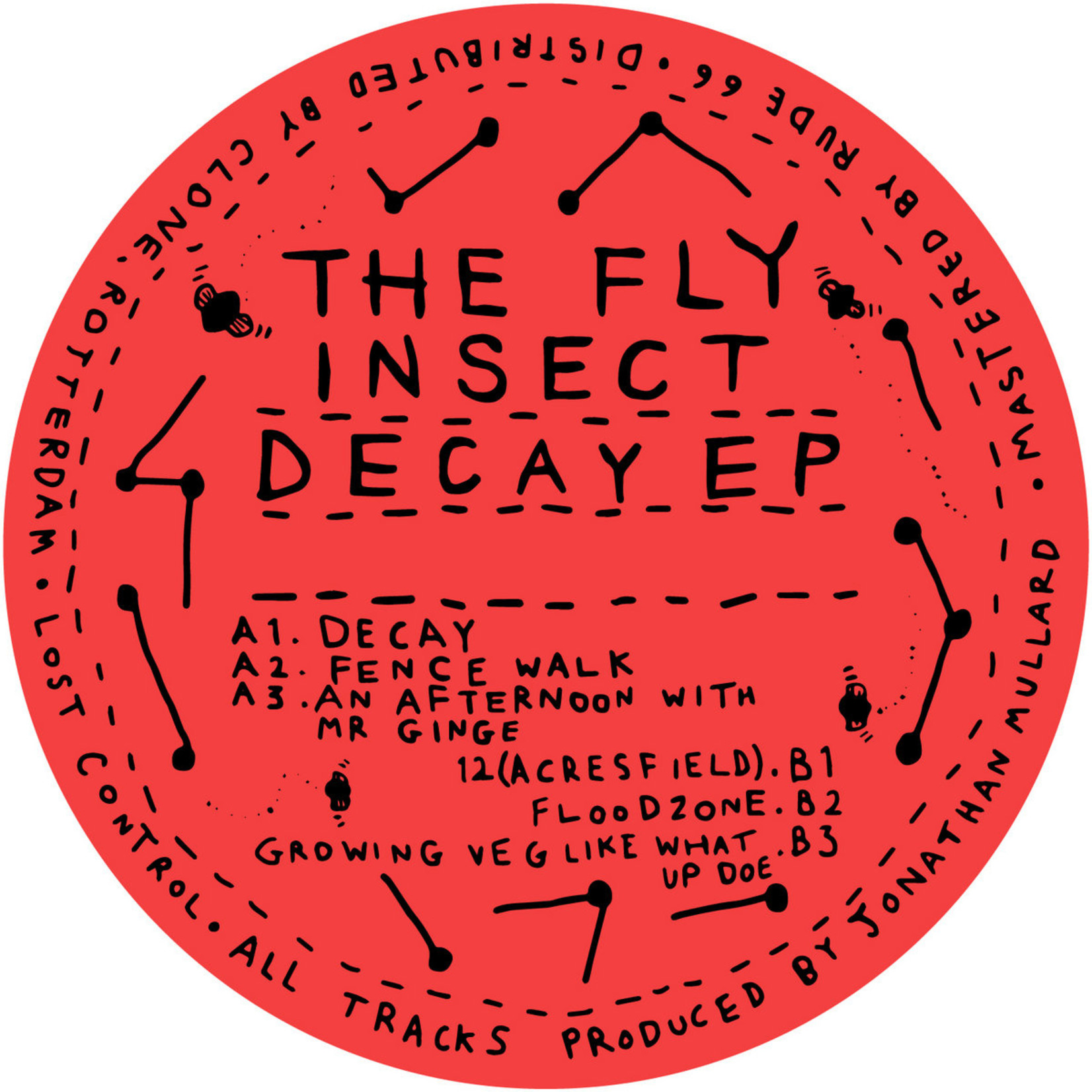 The Fly Insect – Decay EP