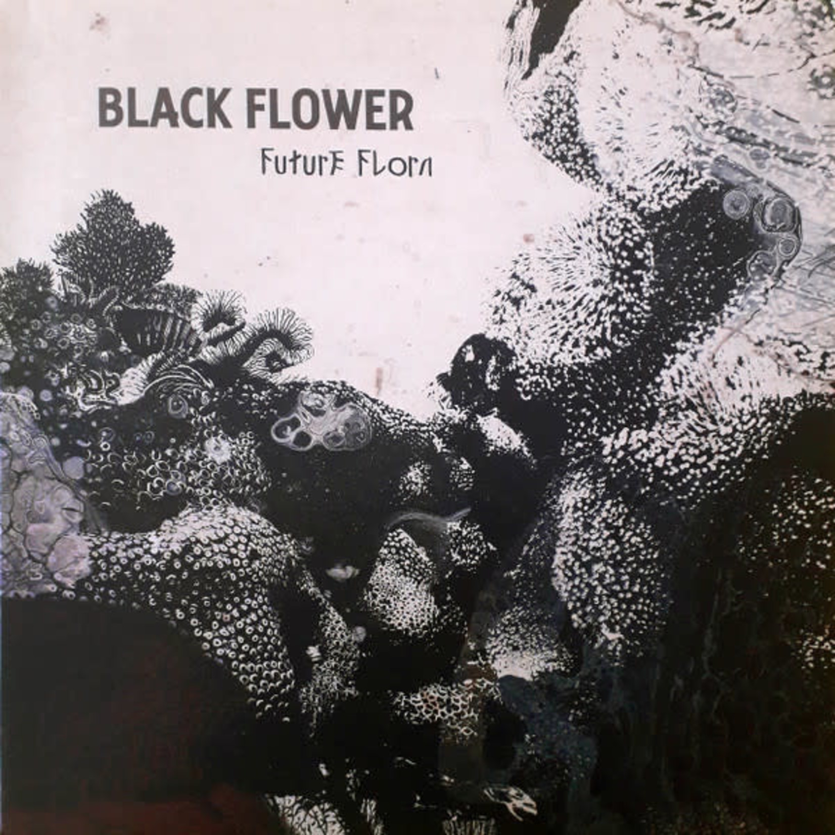 Black Flower – Future Flora