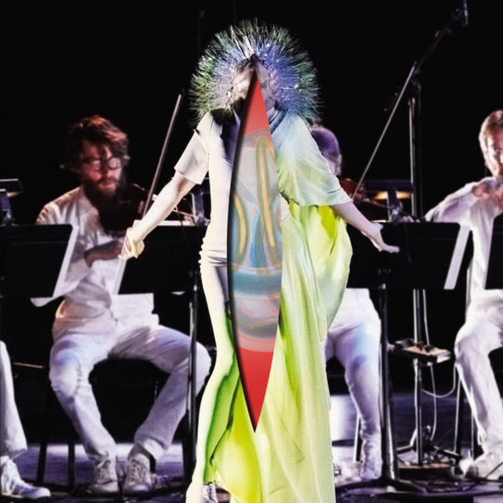 Björk – Vulnicura Strings