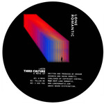 Third Culture - U Move EP