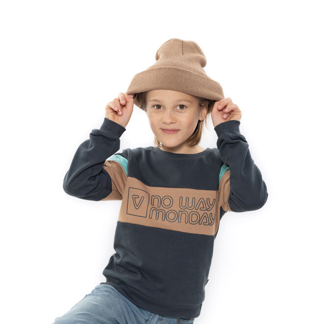 No Way Monday Jungen-Sweatshirt, dunkelgrau, kamel, mintgrün