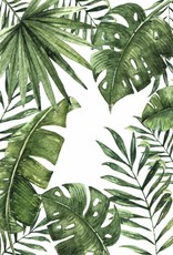 Wandbilder 3er Set "Dschungel" DIN A4