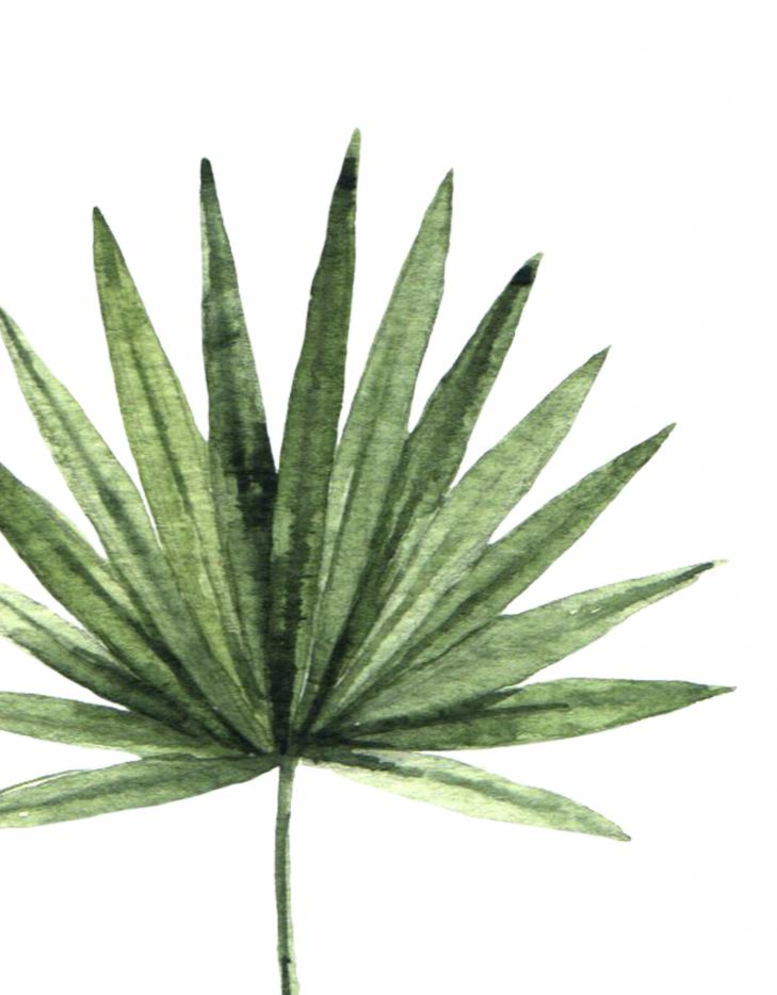 Wandbilder 3er Set "Dschungel" DIN A4