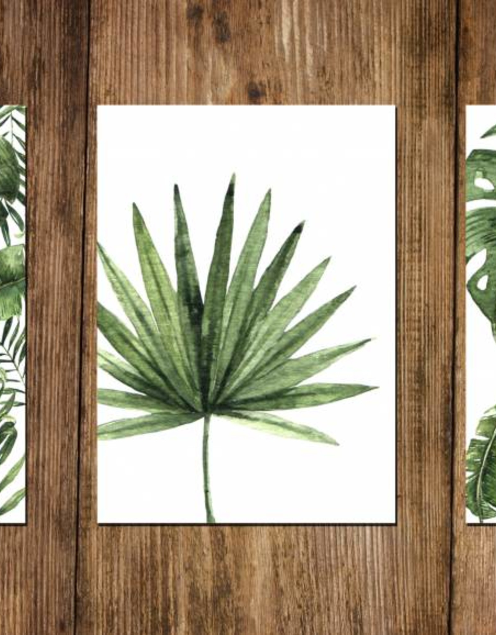 Wandbilder 3er Set "Dschungel" DIN A4