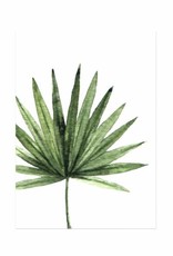 Wandbilder 3er Set "Dschungel" DIN A4