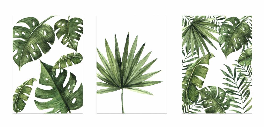 Wandbild Dschungel, Poster Dschungel Set, Poster Blätter - Nastami.de