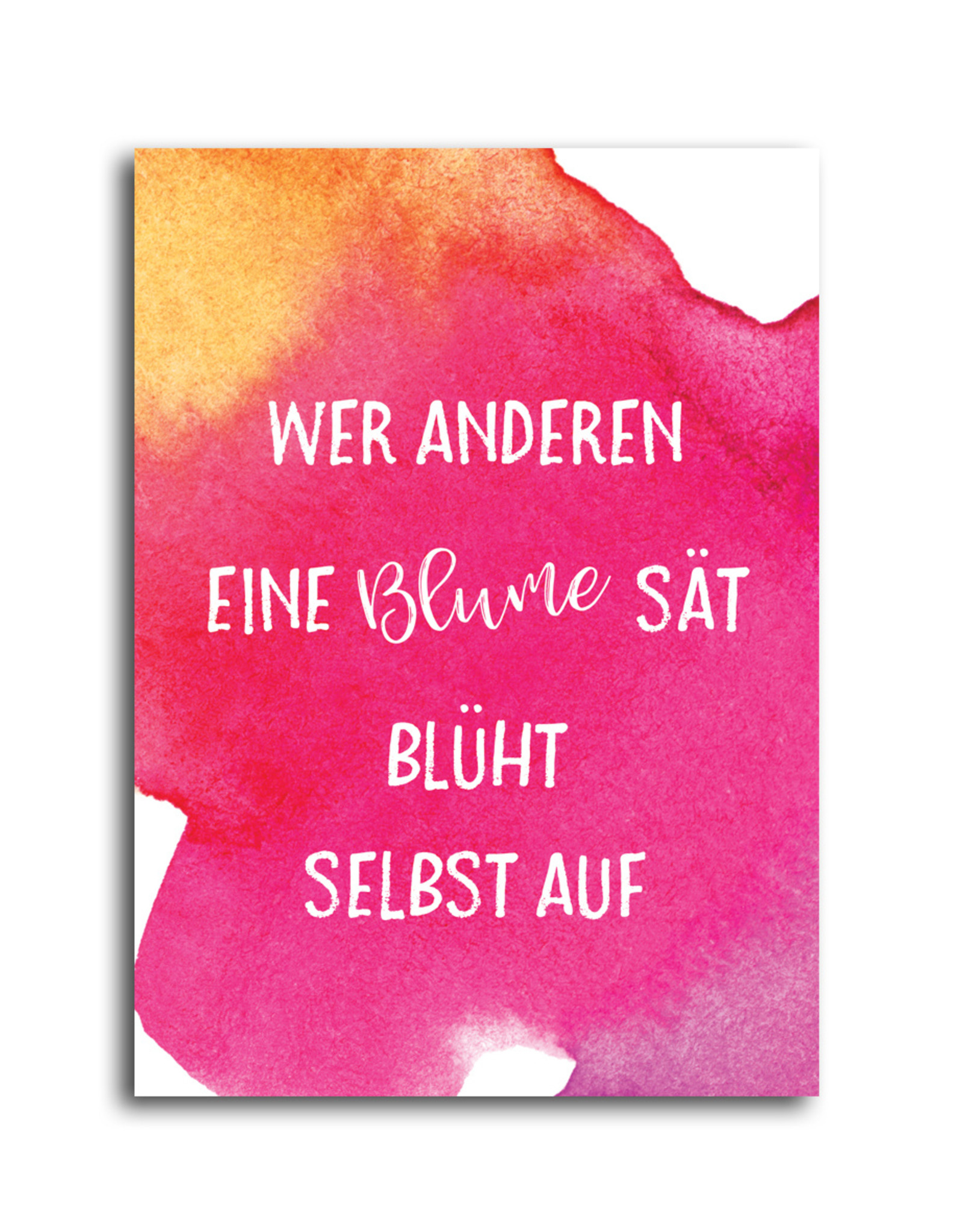 Postkarte Spruch "Wer anderen eine Blume sät"