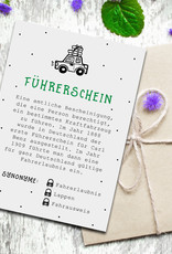 Postkarte FÜHRERSCHEIN inkl. Briefumschlag Füherschein Geschenk Führerscheinprüfung Geldgeschenk