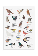 Postkarte Gartenvögel Grußkarte VÖGEL Gartenvögel