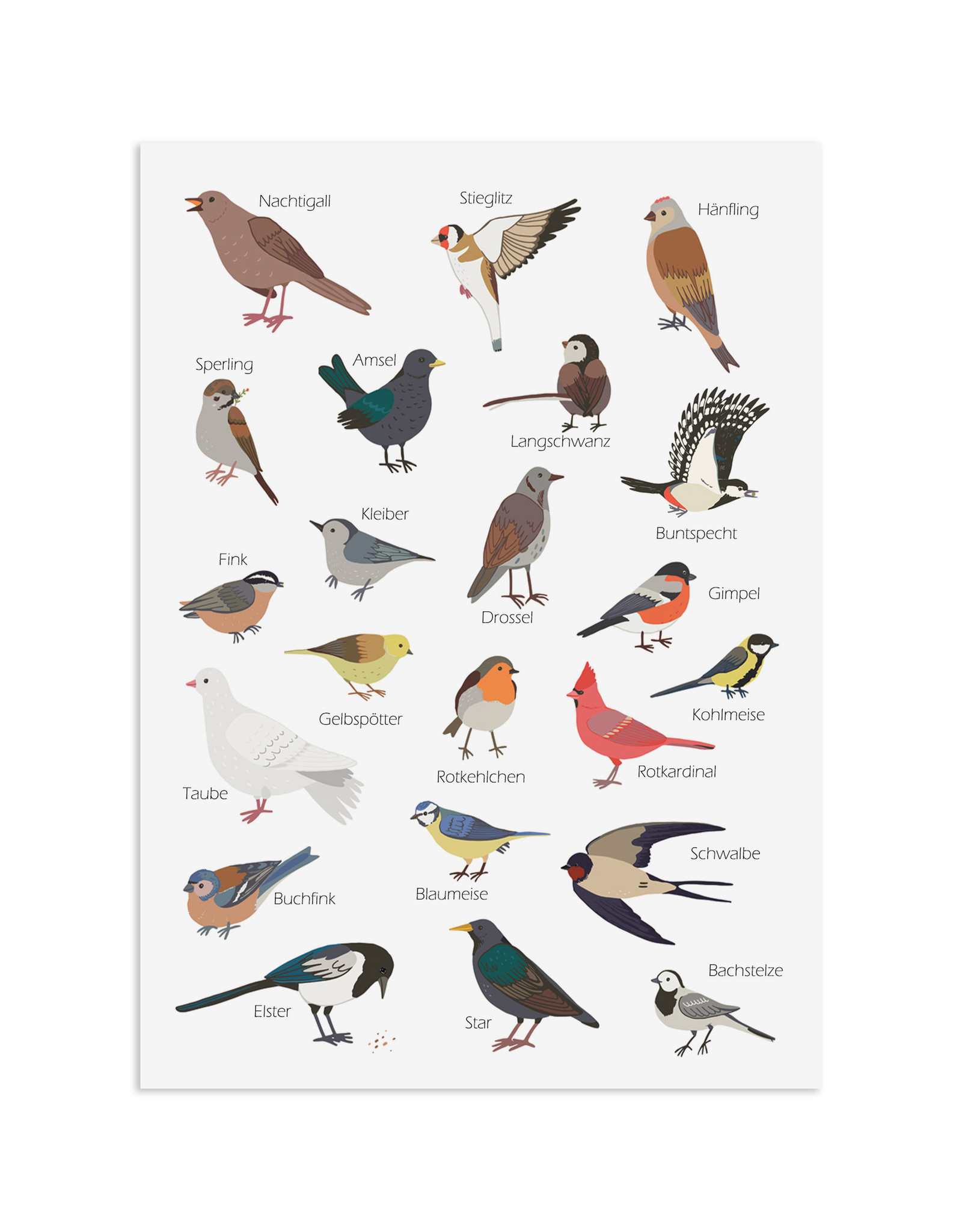 Postkarte Gartenvögel Grußkarte VÖGEL Gartenvögel