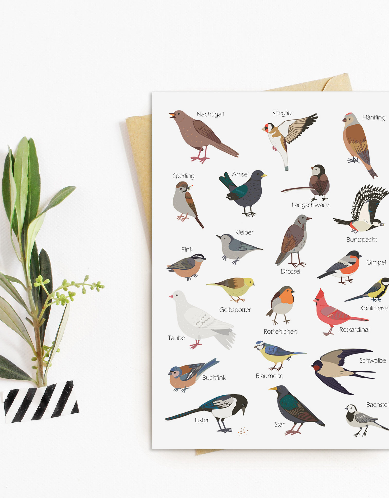 Postkarte Gartenvögel Grußkarte VÖGEL Gartenvögel