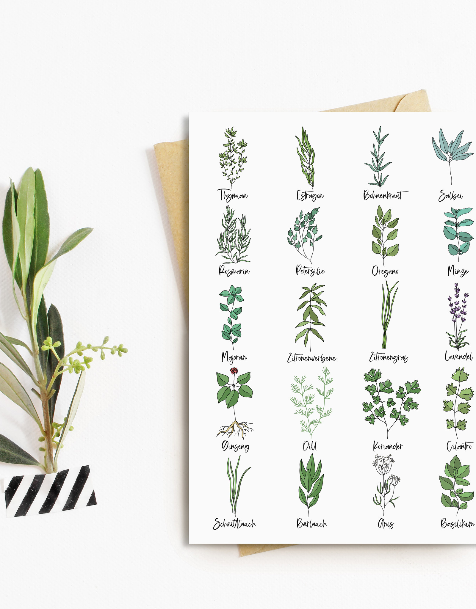 Postkarte Küchenkräuter Grußkarte Kräuter