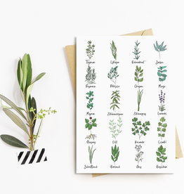 Postkarte Küchenkräuter
