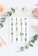 Postkarte Küchenkräuter Grußkarte Kräuter