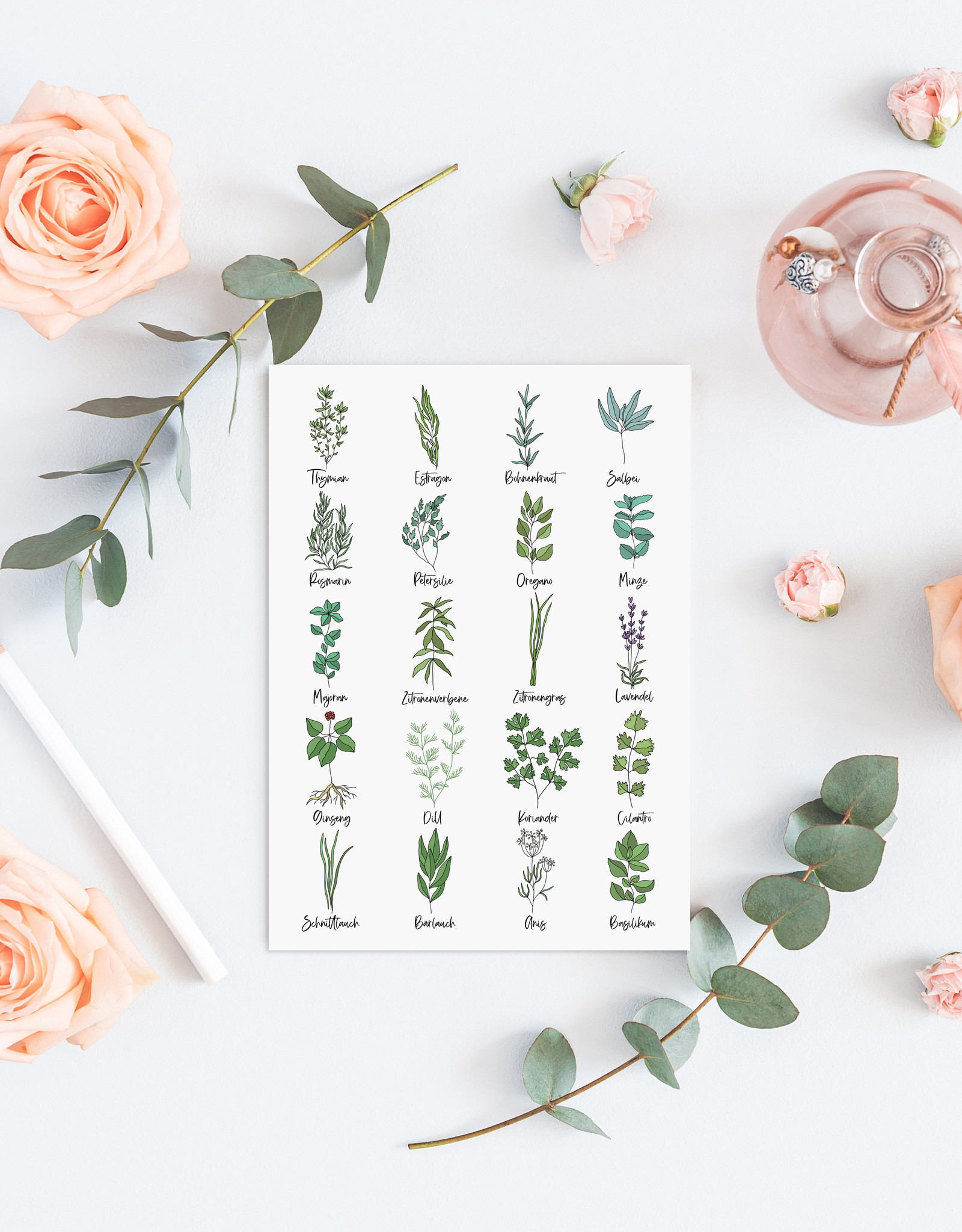 Postkarte Küchenkräuter Grußkarte Kräuter