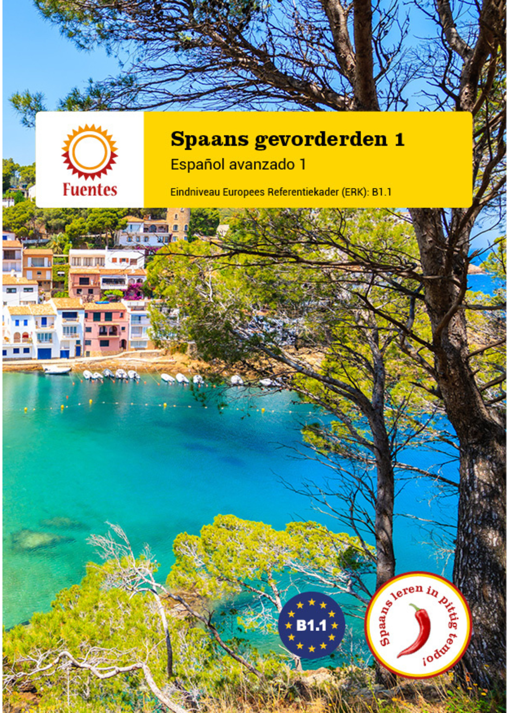 Spaans gevorderden 1 - lesboek