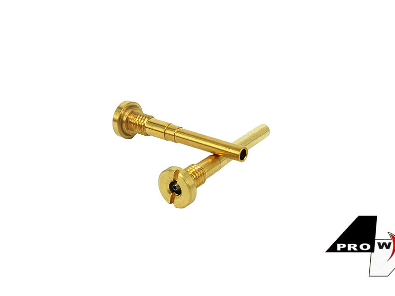 Prowin Injection valve