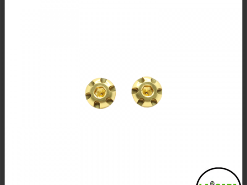 LA Capa Customs V2 “S1” 7075 Aluminum Grip Screws for Hi Capa