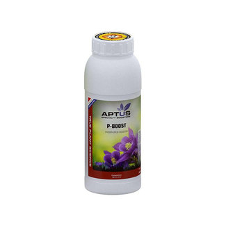 Aptus Aptus P Boost 500ml