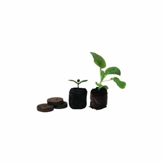 Jiffy Seed Plugs 100 pcs Growing supplies LEDparadise.eu