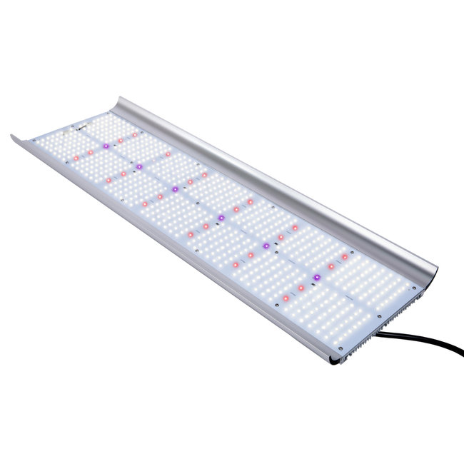 Apollo Quantum 320 Watts