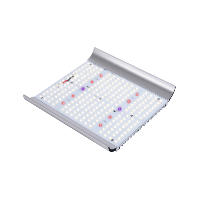 Apollo Quantum 100 Watt Apollo LED Kweeklampen LEDparadise.eu LEDparadise.eu