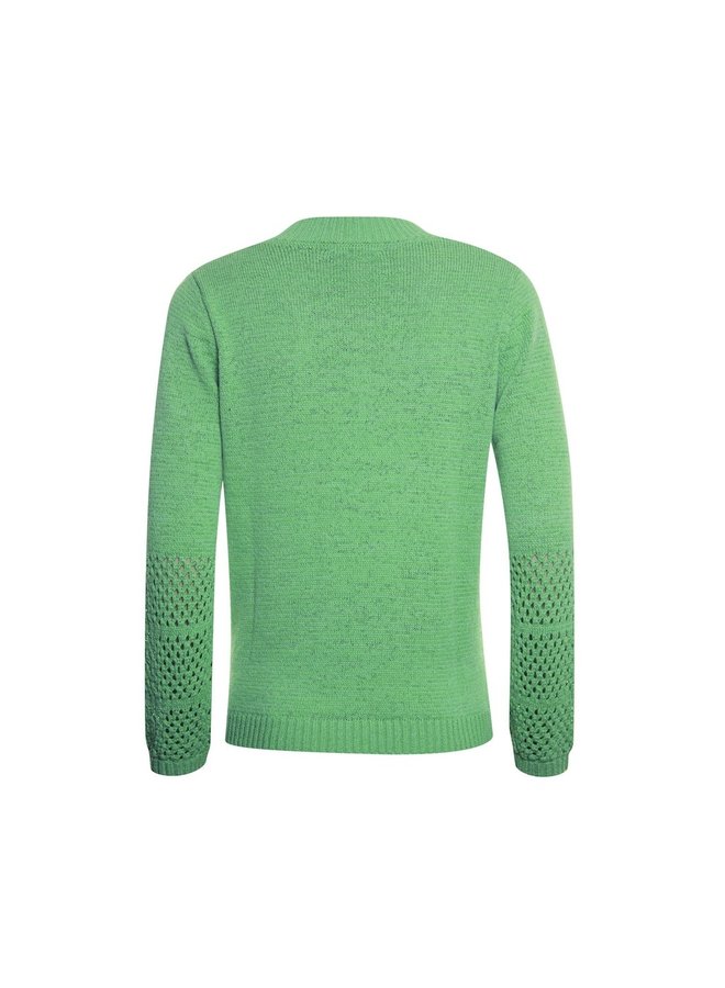 Roberto Sarto Pullover Groen 311197