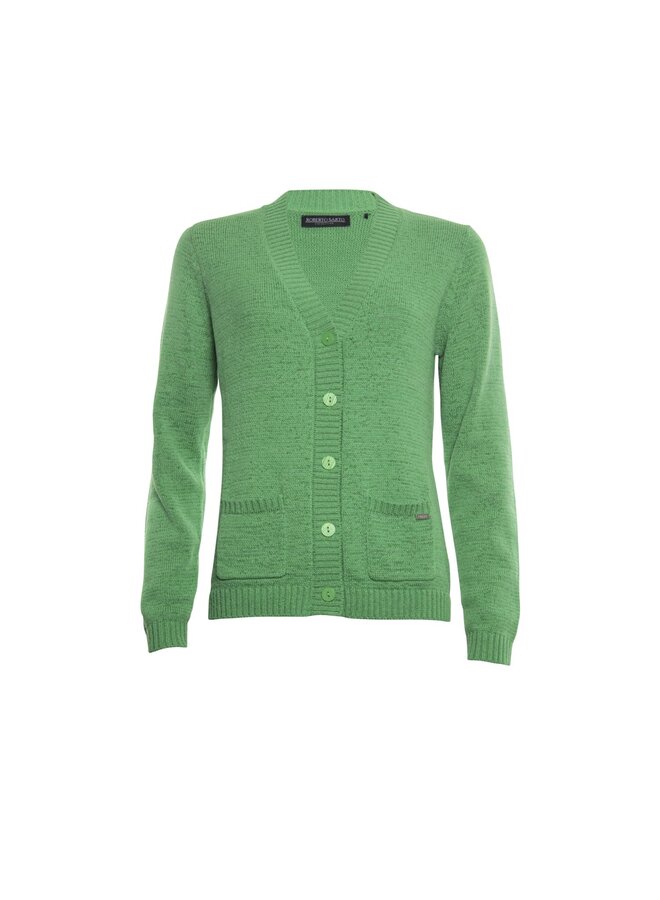 Roberto Sarto Vest Groen 411120