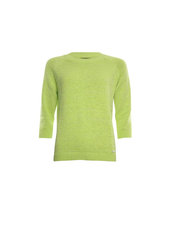 Roberto Sarto Pullover Groen 411198