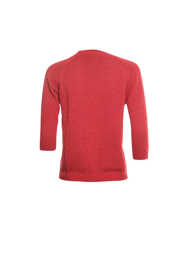 Roberto Sarto Pullover Rood 411198