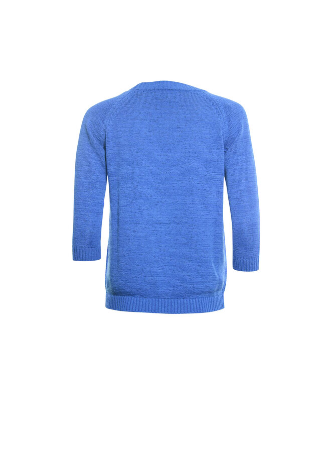 Roberto Sarto Pullover Blauw 411198