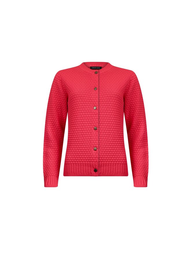 Roberto Sarto Vest Rood 511195