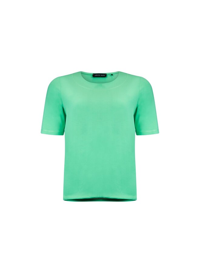 Roberto Sarto Shirt Groen 511113