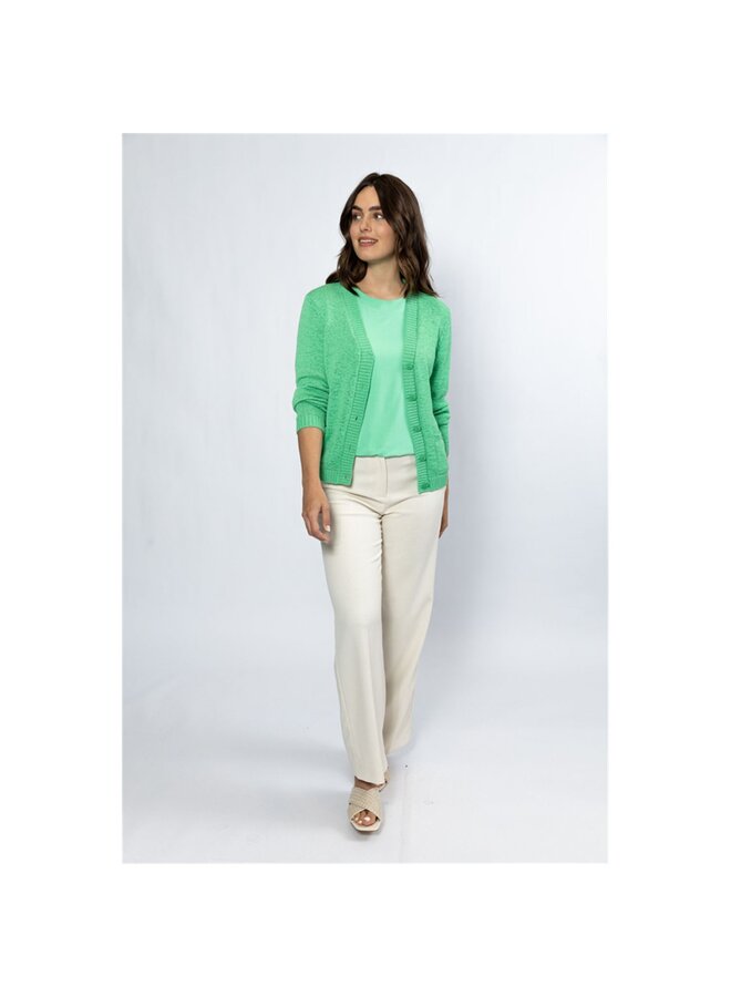 Roberto Sarto Shirt Groen 511113
