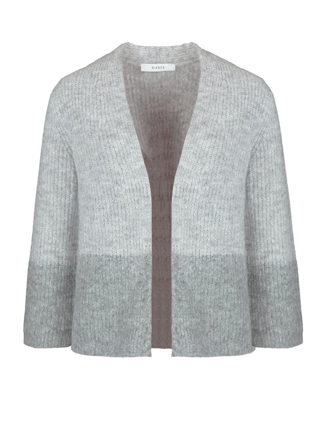 Bianca Vest Grijs 68005