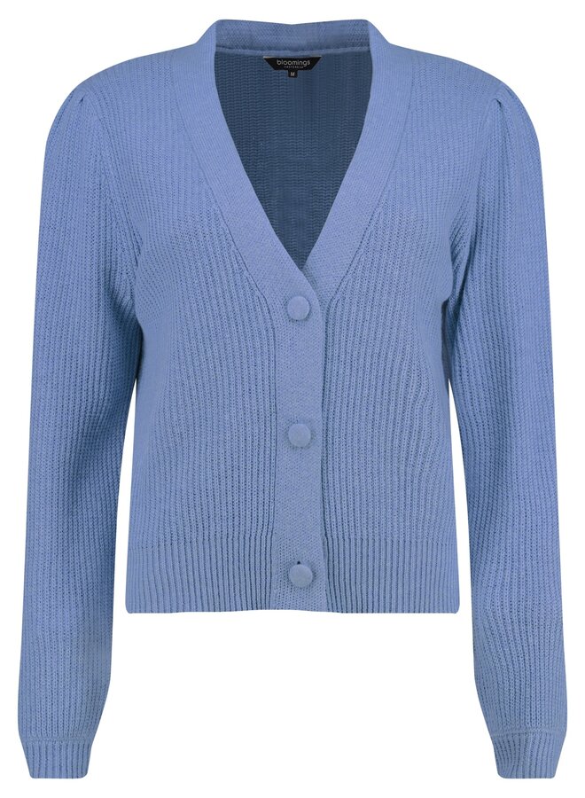 Bloomings Vest Blauw SLK20-8909