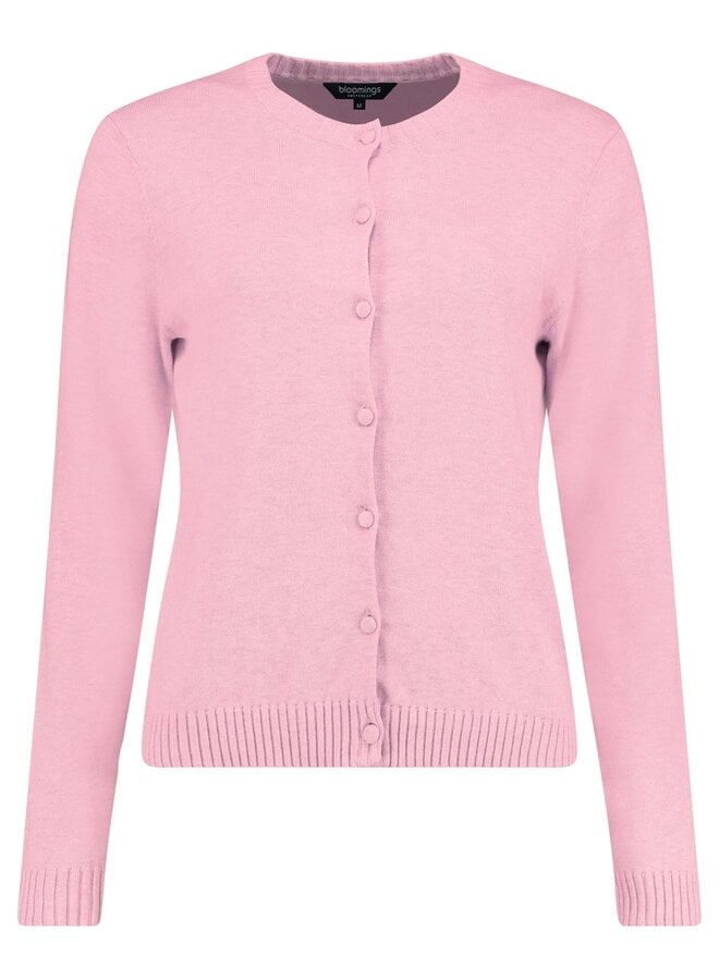 Bloomings Vest Rose SLK20-9009