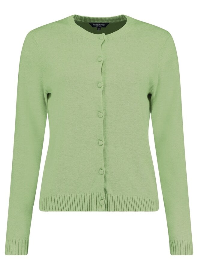 Bloomings Vest Groen SLK20-9009