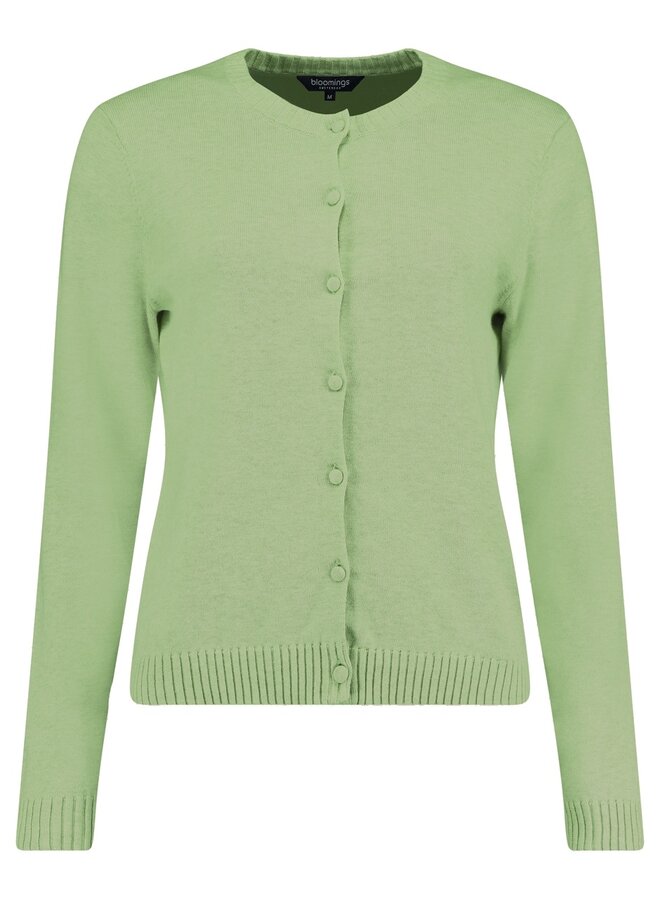 Bloomings Vest Groen SLK20-9009