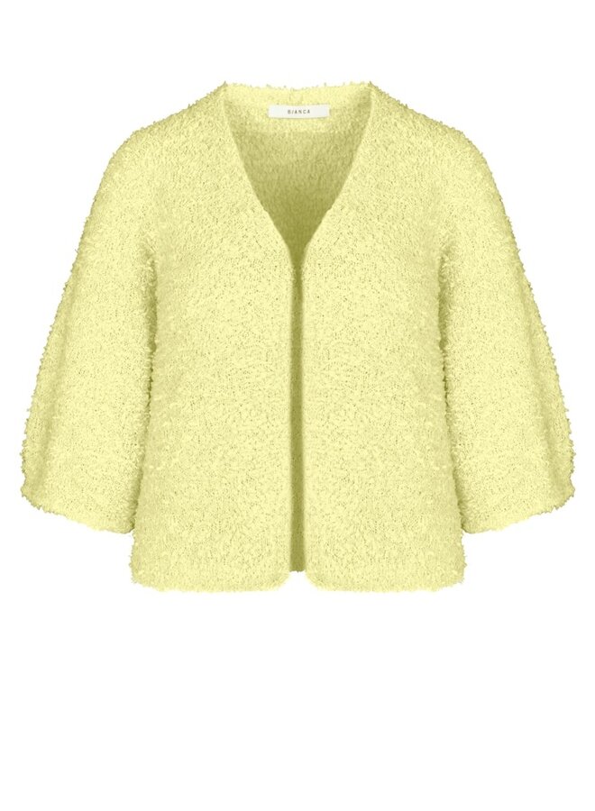 Bianca Vest/Jasje Geel 78007