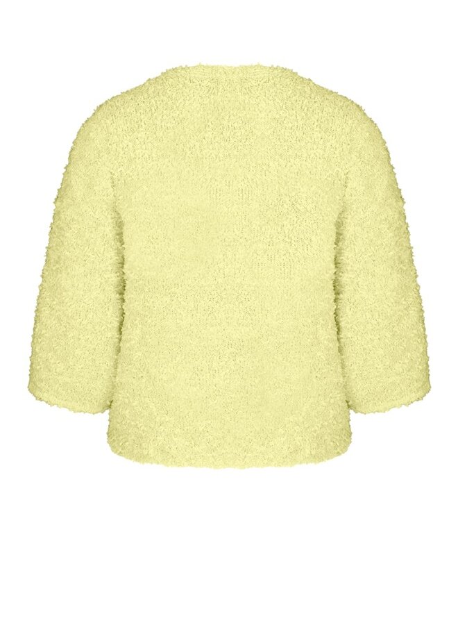 Bianca Vest/Jasje Geel 78007