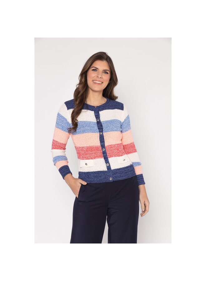 Roberto Sarto Vest Blauw 611141